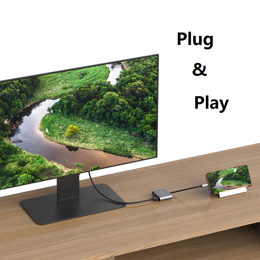 Adaptateur Concentrateur Type C vers VGA & HDMI 4K Full HD à 60Hz 1080P 2 en 1