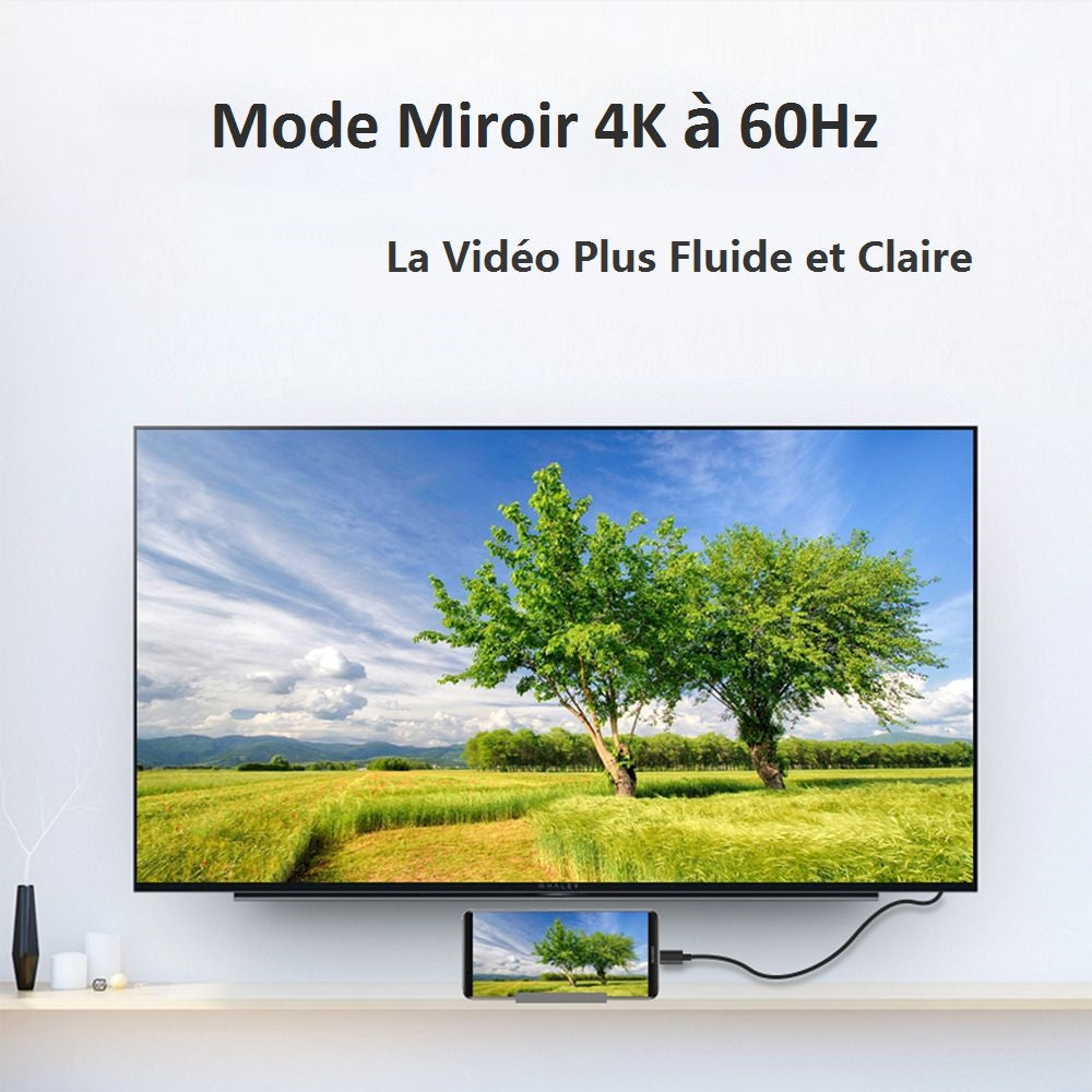 Concentrateur Type-C File vers HDMI 4K 3860 x 2160 à 60Hz