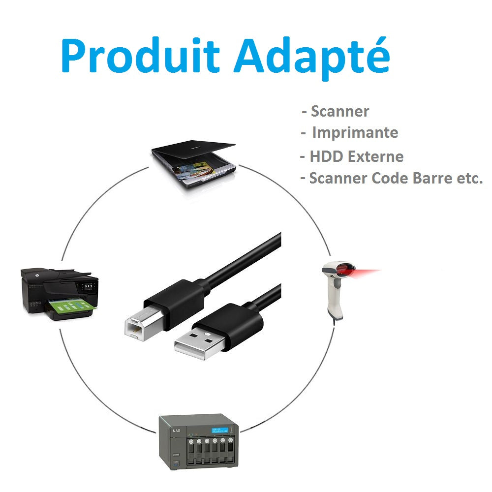 Kinpower Câble USB 2.0 A-B Mâle Mâle