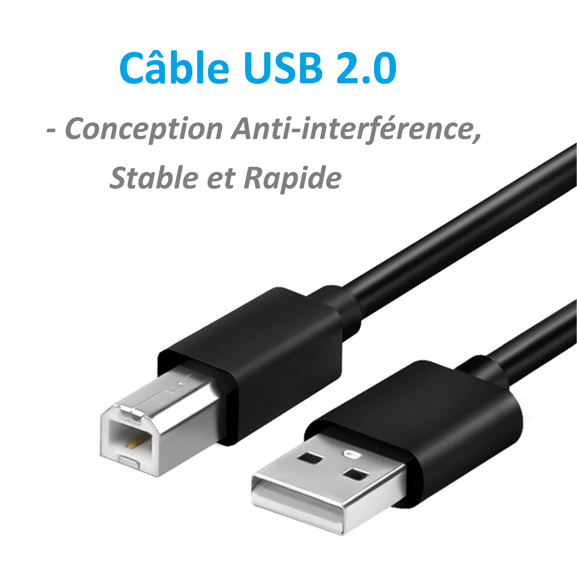 Kinpower Câble USB 2.0 A-B Mâle Mâle