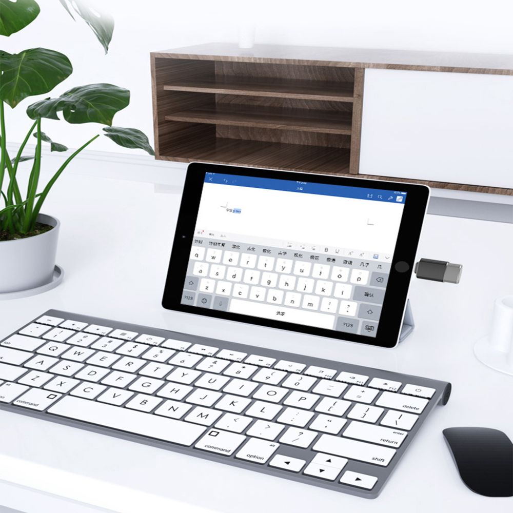 Kinpower Adaptateur Lighting mâle vers USB A 3.1 Femelle OTG