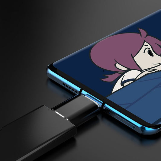 Kinpower Adaptateur USB de Type C mâle vers USB A 3.1 Femelle OTG